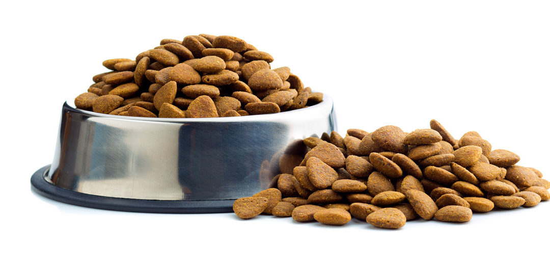 What’s in your dog’s favorite kibble?