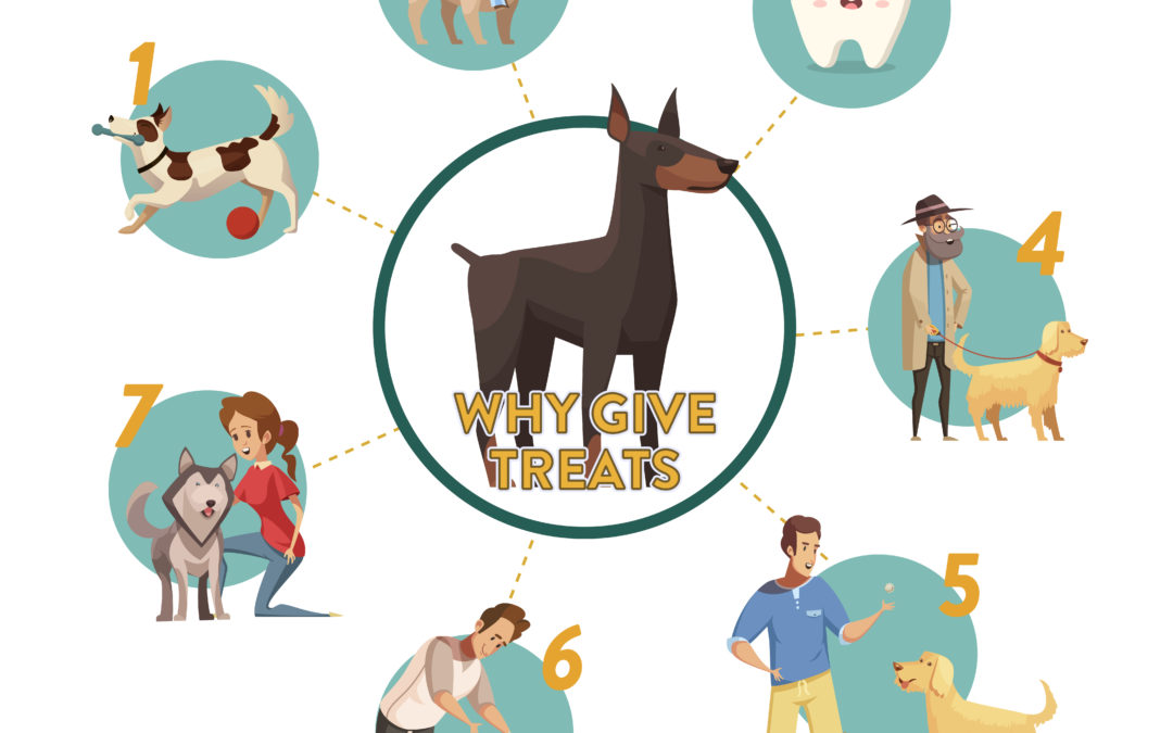 Why Give Treats to Your Pets