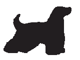 dog_large