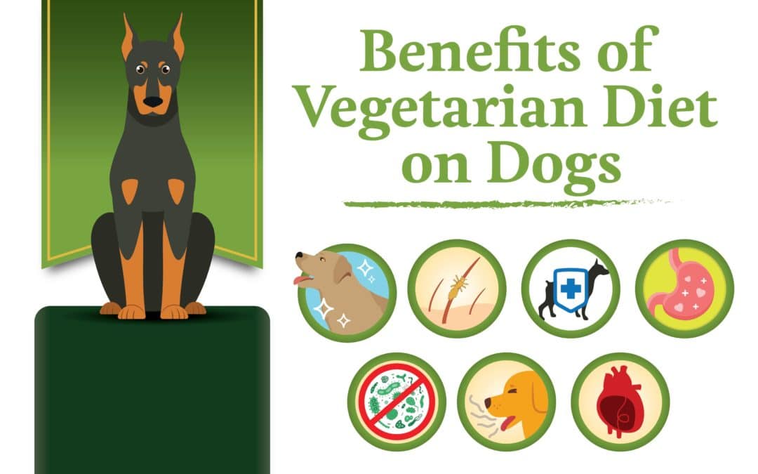 Benefits of a Vegetarian Diet on Dogs