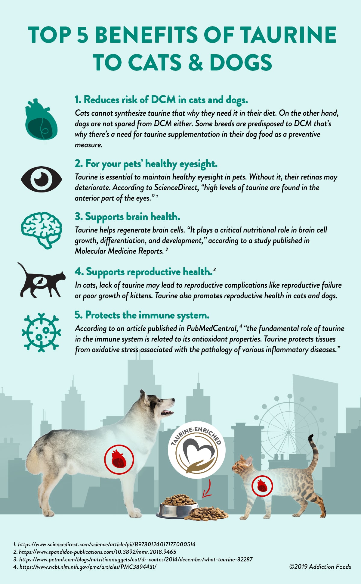 Top 5 Benefits of Taurine to Cats and Dogs infographic