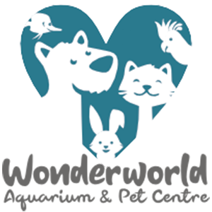 wonderworld aquarium